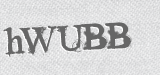 CAPTCHA code