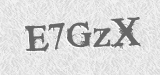 CAPTCHA code
