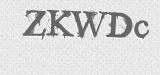 CAPTCHA code