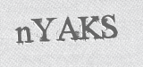 CAPTCHA code
