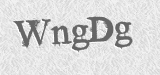 CAPTCHA code