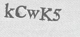 CAPTCHA code
