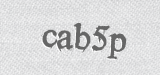 CAPTCHA code