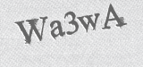 CAPTCHA code