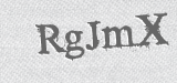 CAPTCHA code