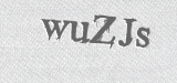 CAPTCHA code