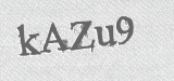 CAPTCHA code