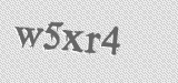 CAPTCHA code