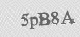 CAPTCHA code