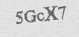 CAPTCHA code