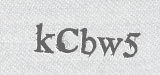 CAPTCHA code