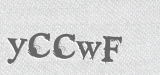 CAPTCHA code