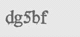 CAPTCHA code