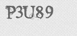 CAPTCHA code