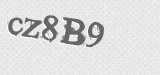 CAPTCHA code