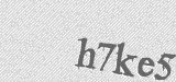CAPTCHA code