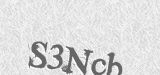 CAPTCHA code