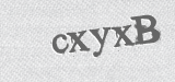 CAPTCHA code