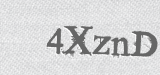 CAPTCHA code