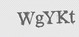 CAPTCHA code