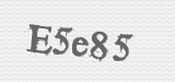 CAPTCHA code