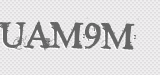 CAPTCHA code