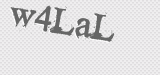 CAPTCHA code