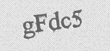 CAPTCHA code