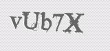 CAPTCHA code