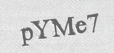 CAPTCHA code