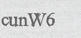 CAPTCHA code