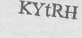 CAPTCHA code