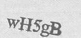 CAPTCHA code