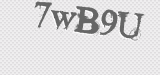 CAPTCHA code