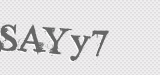 CAPTCHA code