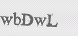 CAPTCHA code