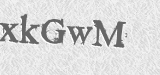 CAPTCHA code