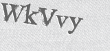 CAPTCHA code
