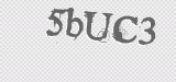 CAPTCHA code