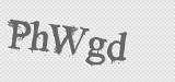 CAPTCHA code