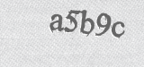 CAPTCHA code