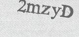 CAPTCHA code