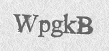 CAPTCHA code