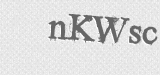 CAPTCHA code