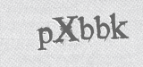 CAPTCHA code