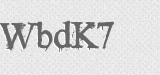 CAPTCHA code