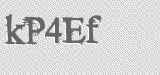 CAPTCHA code
