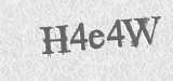 CAPTCHA code