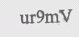 CAPTCHA code