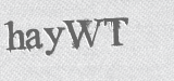 CAPTCHA code